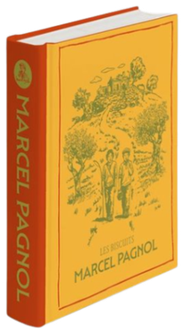 Coffret en forme de livre