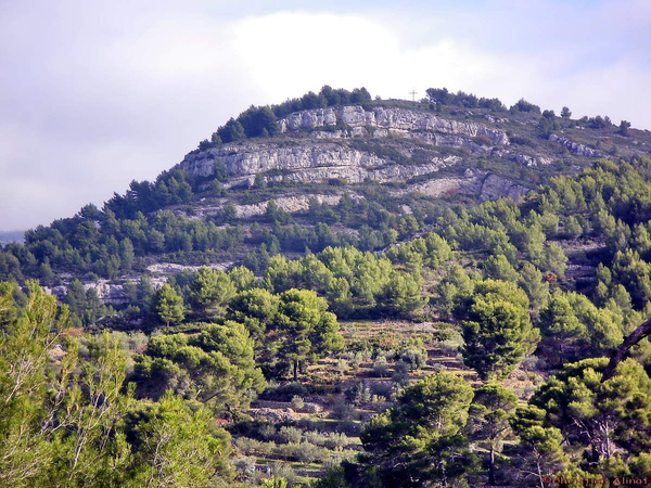 Paysage provençal